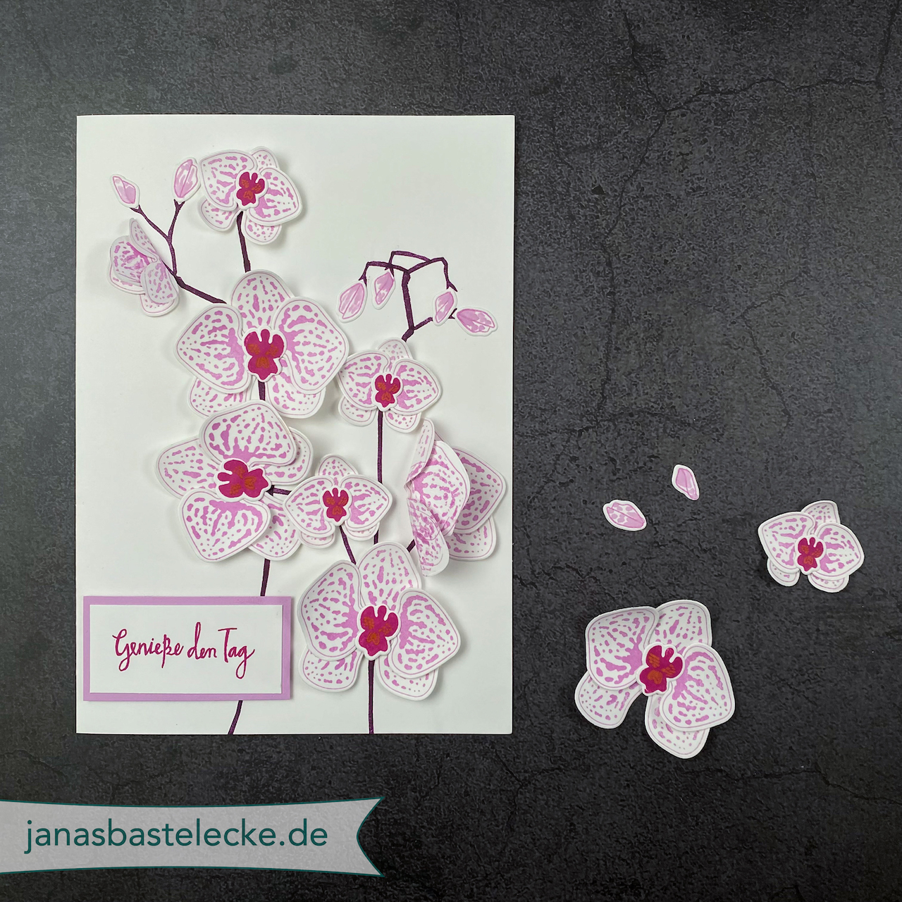 Kreativer Montag 173 – Geburtstagskarte Orchideenzweig